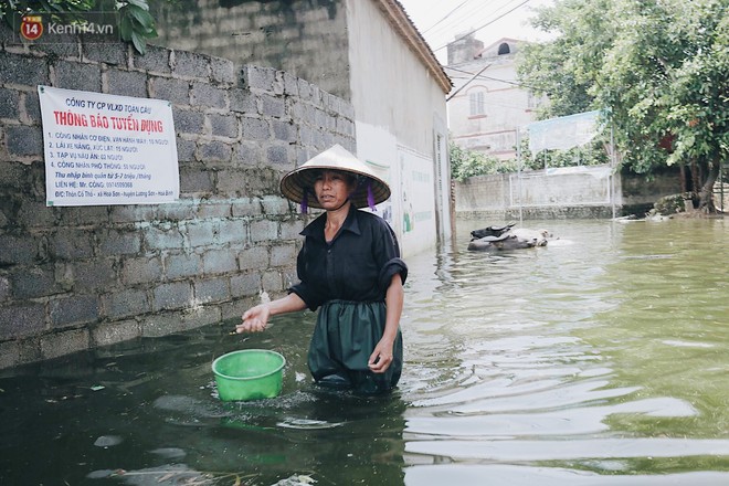 Những ngày lênh đênh ở Chương Mỹ: Trâu bò lặn ngụp, vịt trèo lên những mái nhà khi nước dâng đến tận nóc - Ảnh 5.