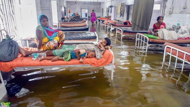 Ấn Độ: Mưa lớn gây ngập nặng, cá bơi vào bệnh viện - Ảnh 1.