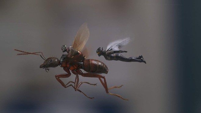 “Ant-Man and the Wasp”: Khi mỹ nhân ra tay cứu anh hùng trong cuộc chiến vắng bóng kẻ ác - Ảnh 5.