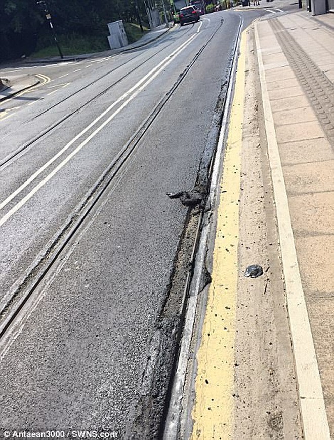 Đâu chỉ nước ta nóng trên 40 độ, thế giới cũng ghi nhận những đợt nắng nóng tới mức chảy lốp xe, chín cả trứng - Ảnh 3.