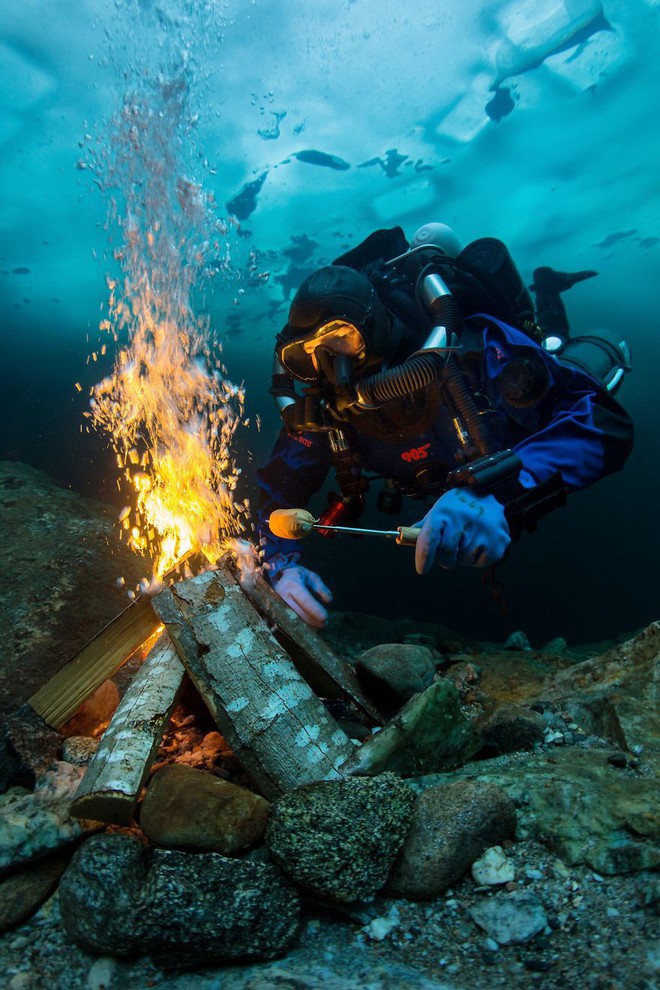 Những hình ảnh dưới nước đẹp đến nghẹt thở trong cuộc thi Underwater Photographer Of The Year 2018 - Ảnh 29.