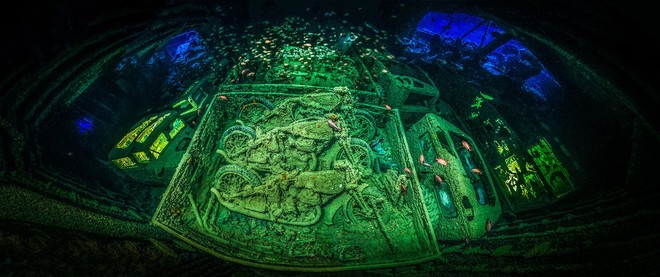 Những hình ảnh dưới nước đẹp đến nghẹt thở trong cuộc thi Underwater Photographer Of The Year 2018 - Ảnh 33.