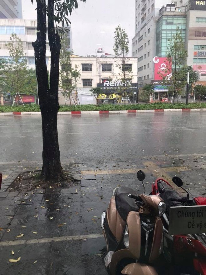 Tin mát rượi: Hà Nội đã có mưa sau bao ngày nắng gắt - Ảnh 6.