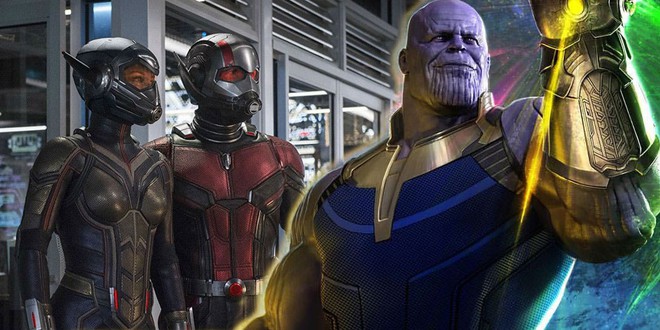 Bằng chứng cho sự thừa thãi của bộ đôi Ong Kiến Ant-Man and the Wasp ở vũ trụ Marvel - Ảnh 2.