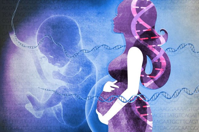 Phát hiện trường hợp cực hiếm: bé gái sinh ra với gần 100% gene từ người bố, và đó không phải là điều may mắn đâu - Ảnh 1.
