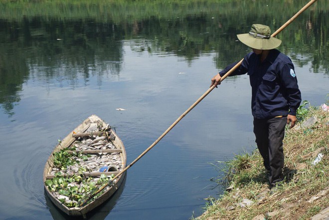 Gần 1 tấn cá chết trắng hồ điều tiết, bốc mùi hôi thối ở Đà Nẵng - Ảnh 3.