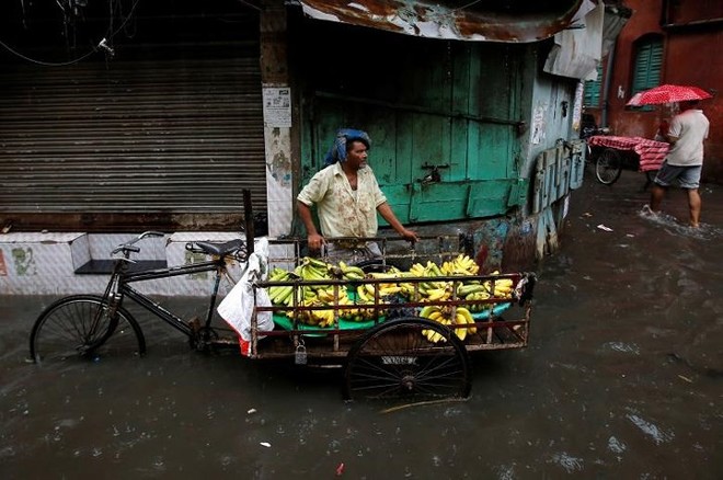 Ảnh: Mưa lớn ở Ấn Độ gây sập nhà, ô tô xe máy “bơi” giữa đường phố - Ảnh 16.