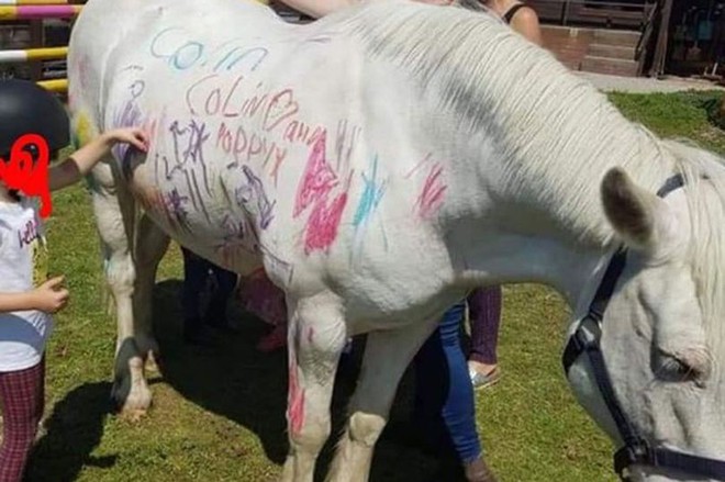 Anh: Trào lưu tổ chức bữa tiệc vẽ ngựa cho trẻ em bị phản đối kịch liệt - Ảnh 1.