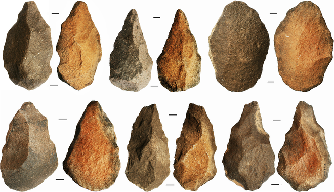 Cả một chủng người cổ đ&atilde; diệt vong chỉ v&igrave;... lười biếng - Ảnh 2.