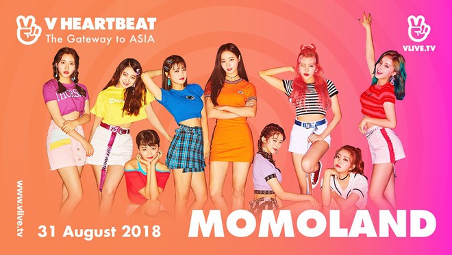 Lộ dàn line up toàn cái tên gây bão của show Hàn-Việt sắp tới: Momoland sẽ đến cùng nhóm nhạc Kpop nào? - Ảnh 1.