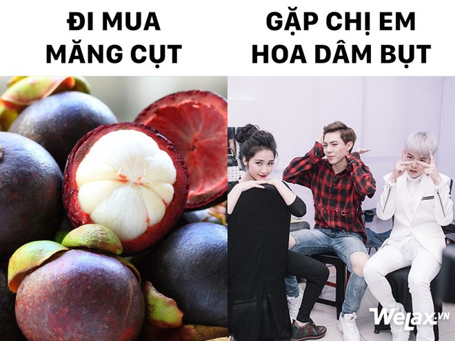 Đi đâu làm gì để gặp được idol? Để đấy cư dân mạng sẽ mách nước cho bạn! - Ảnh 7.