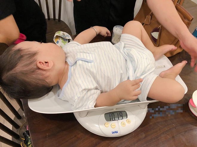 Ngắm ảnh c&aacute;c con Hằng T&uacute;i đi chơi, hội chị em vui mừng thấy b&eacute; Peter ngồi si&ecirc;u xe 4 b&aacute;nh b&ecirc;n cạnh, ng&agrave;y c&agrave;ng kh&aacute;u khỉnh đ&aacute;ng y&ecirc;u  - Ảnh 3.