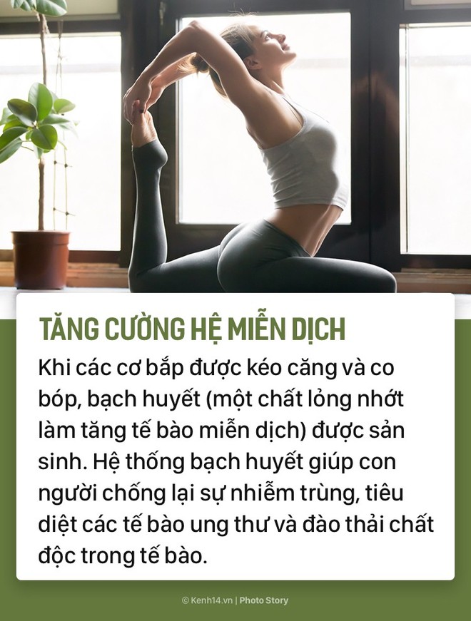 Bạn sẽ muốn tập Yoga đều đặn hơn ngay khi biết những tác dụng tuyệt vời này - Ảnh 5.