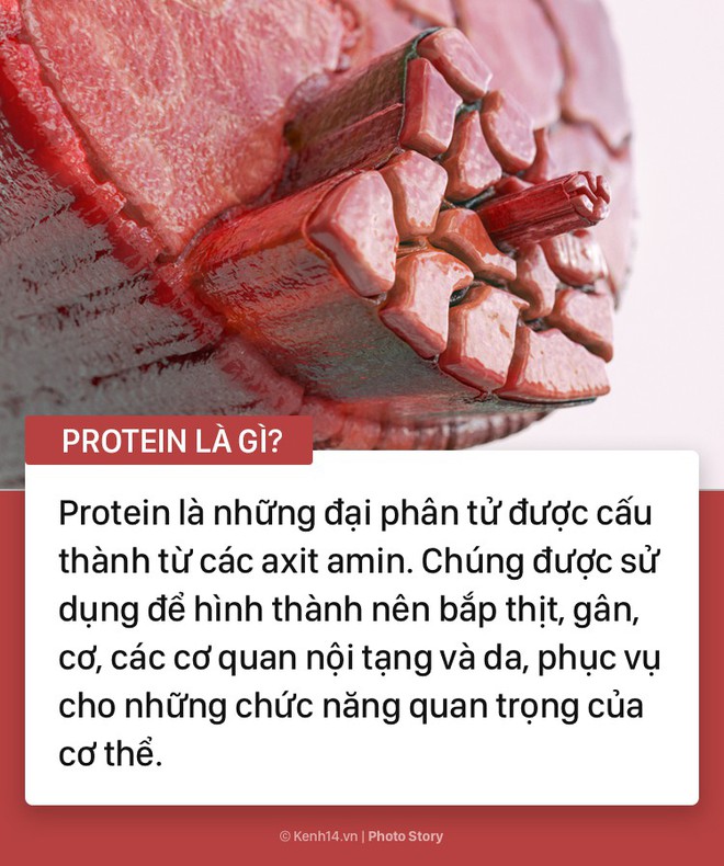 Protein là gì mà bạn không thể thiếu nó trong bữa ăn của mình - Ảnh 1.