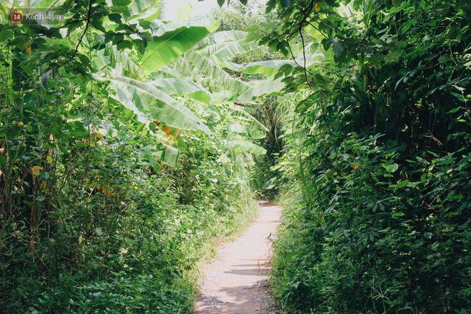 &Ocirc;ng cụ trong bộ ảnh T&igrave;nh gi&agrave; bị đưa v&agrave;o trung t&acirc;m bảo trợ x&atilde; hội khi đi nhặt ve chai: Mong &ocirc;ng được về sớm để b&agrave; đỡ buồn, đỡ kh&oacute;c - Ảnh 3.