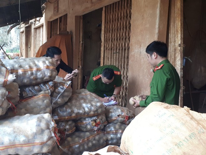 Bắt quả tang cơ sở “phù phép” 1.000kg khoai tây Trung Quốc nhái Đà Lạt - Ảnh 2.