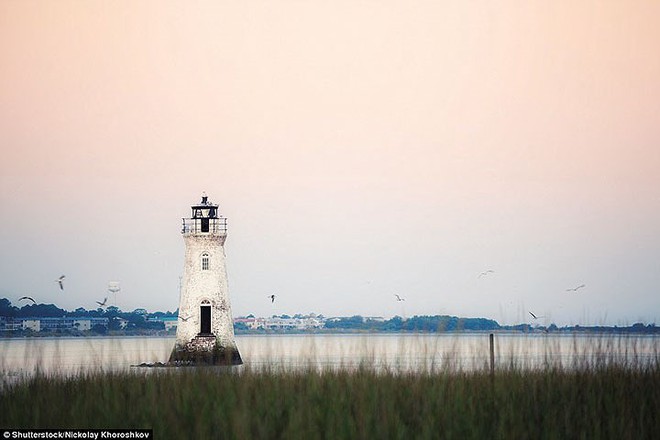 photo-12