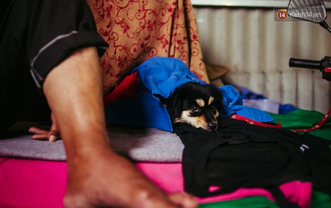 Chuyện anh nh&acirc;n vi&ecirc;n mồ c&ocirc;i cưu mang &ocirc;ng l&atilde;o ve chai v&agrave; ch&uacute; ch&oacute; nhỏ: Anh xem ch&uacute; như ba, v&igrave; anh cũng chỉ c&oacute; một m&igrave;nh ở đất S&agrave;i G&ograve;n n&agrave;y - Ảnh 9.