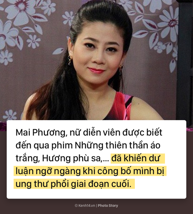 Mai Phương: Từ cô diễn viên với gương mặt tươi sáng đến người phụ nữ nghị lực không khuất phục trước bệnh tật - Ảnh 1.