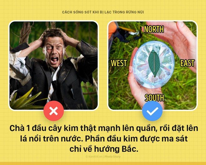 5 bí kíp buộc phải biết để sinh tồn khi bị lạc trong rừng - Ảnh 3.