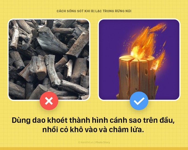 5 bí kíp buộc phải biết để sinh tồn khi bị lạc trong rừng - Ảnh 4.