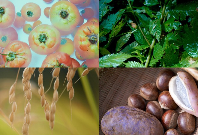 Du lịch tại nh&agrave; với 7 bộ phim ẩm thực khoe to&agrave;n bữa ăn ngon kh&oacute; cưỡng - Ảnh 1.