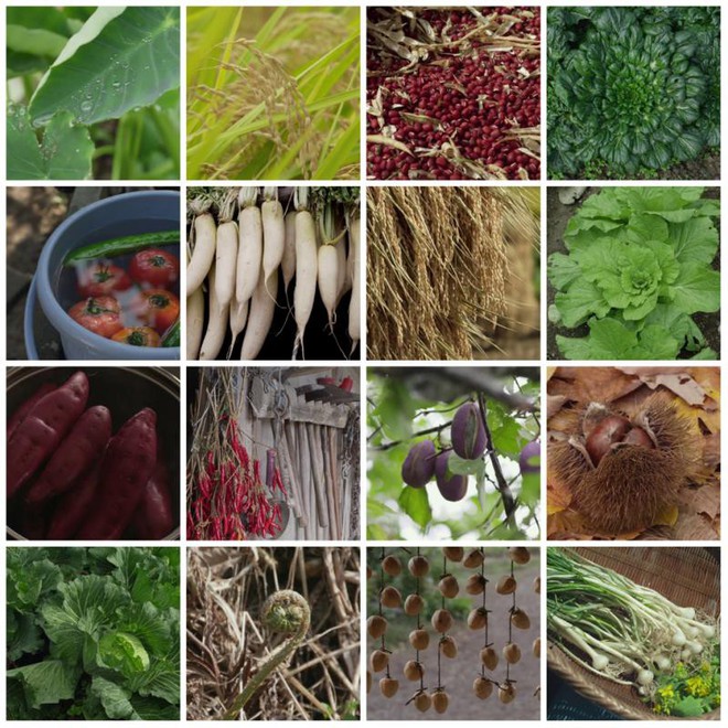 Du lịch tại nh&agrave; với 7 bộ phim ẩm thực khoe to&agrave;n bữa ăn ngon kh&oacute; cưỡng - Ảnh 5.