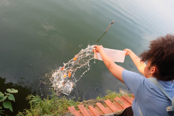 Ảnh: Rùa bị đục lỗ trên mai để trói buộc, bày bán nhằm phục vụ nhu cầu người dân mua phóng sinh mùa Vu Lan - Ảnh 9.