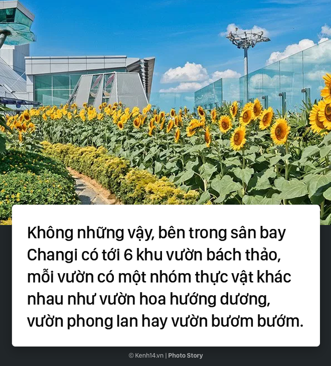 Đến sân bay đẳng cấp nhất thế giới này, dù có bị delay thì các hành khách vẫn thích thú - Ảnh 5.