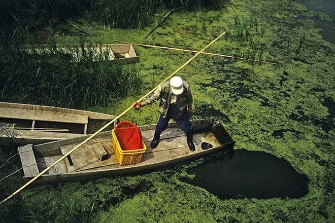 Lặng người trước cảnh đẹp Hàn Quốc - đất nước sở hữu đội bóng cực mạnh - Ảnh 16.