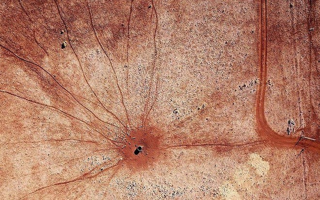 Loạt không ảnh về hạn hán tồi tệ nhất tại Australia trong 15 năm qua - Ảnh 8.