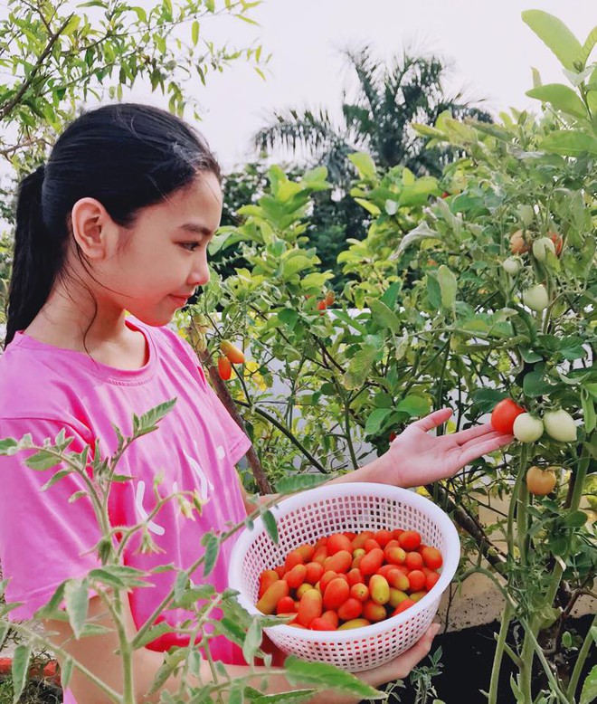 Điểm mặt 9 thiên kim tiểu thư nhà sao Việt: Xinh đẹp ngời ngời, không Hoa hậu thì cũng là mỹ nhân trong tương lai - Ảnh 43.