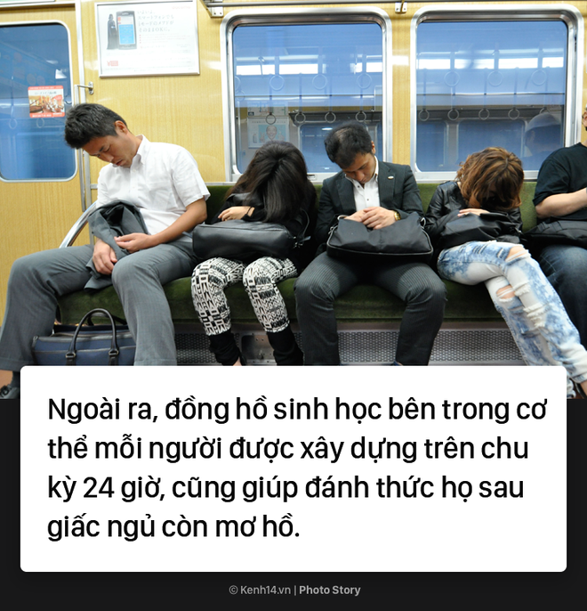 Khả năng đặc biệt của người Nhật, ngủ say không báo thức vẫn không quên giờ xuống tàu - Ảnh 9.