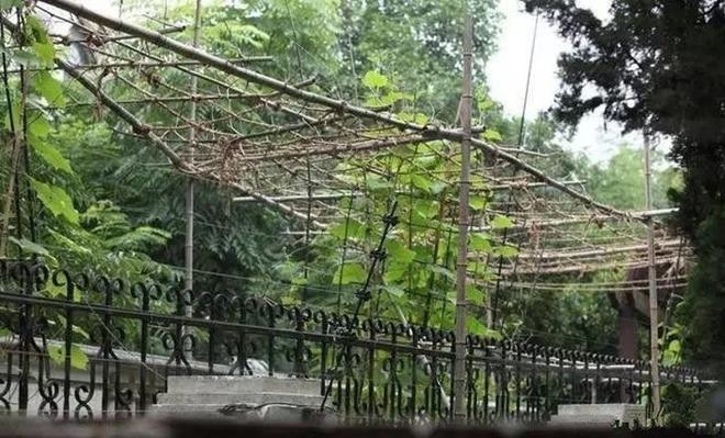 H&igrave;nh ảnh khu si&ecirc;u biệt thự cao cấp trị gi&aacute; hơn 350 tỷ đồng bị L&yacute; Li&ecirc;n Kiệt bỏ hoang - Ảnh 4.