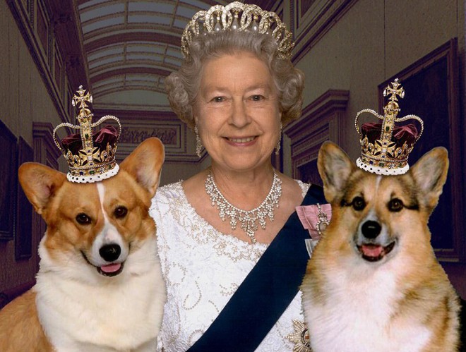 Úc: Chỉ cần gửi một cái email là có ngay chân dung nữ hoàng Anh miễn phí để treo lên tường nhà - Ảnh 1.
