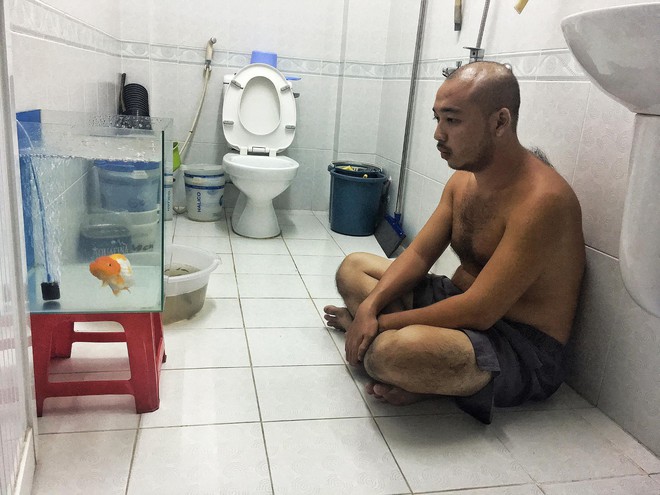 Anh chồng ngồi thẫn thờ ngắm bể cá trong nhà vệ sinh vì vợ không cho nuôi và câu chuyện phía sau khiến nhiều người bất ngờ - Ảnh 2.