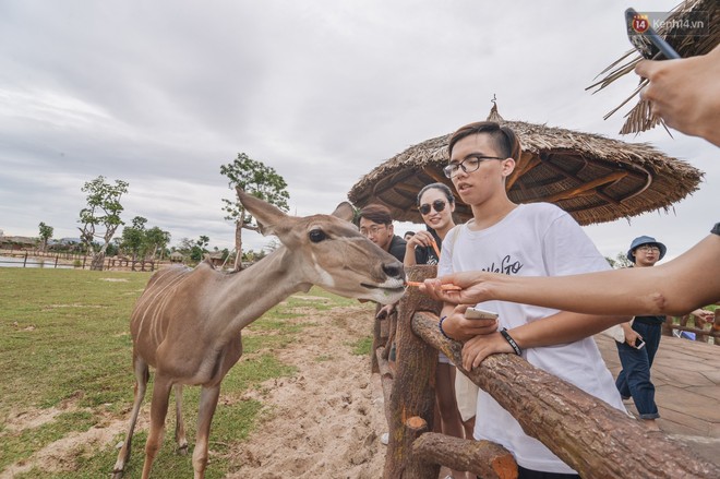 Here We Go: Alex Fox giành chiến thắng, Quang Đại, Cao Thiên Trang, Đỗ Vy... đều có giải thưởng - Ảnh 3.