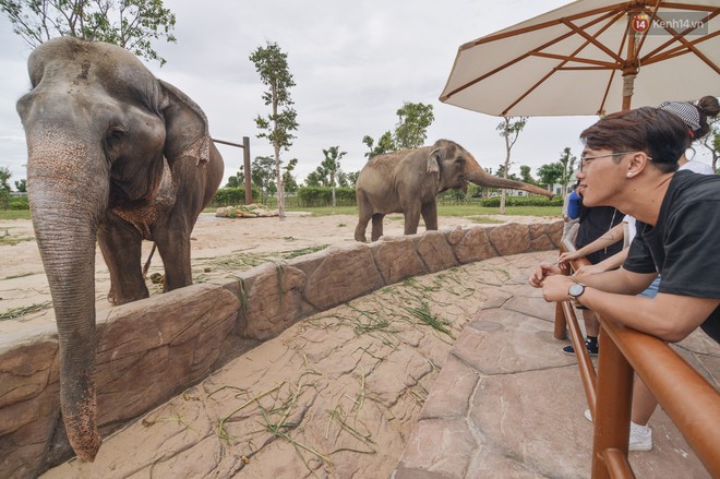 Here We Go: Alex Fox giành chiến thắng, Quang Đại, Cao Thiên Trang, Đỗ Vy... đều có giải thưởng - Ảnh 5.