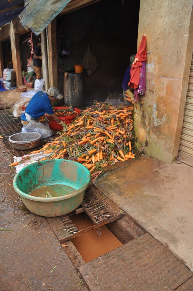 Hàng trăm hộ dân ở Đà Lạt bỏ hoang vườn tược vì nguồn nước bị ô nhiễm từ chợ nông sản - Ảnh 1.