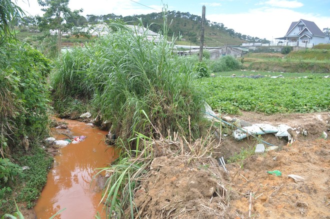 Hàng trăm hộ dân ở Đà Lạt bỏ hoang vườn tược vì nguồn nước bị ô nhiễm từ chợ nông sản - Ảnh 5.