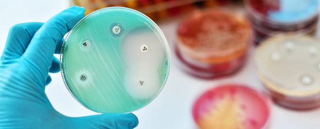 Ác mộng tạm lùi lại: Khoa học sắp chế tạo thành công thế hệ kháng sinh mới, diệt được cả vi khuẩn kháng thuốc - Ảnh 1.