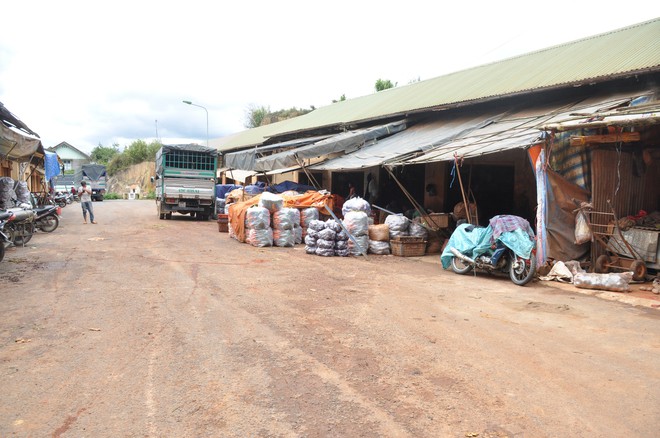 Đà Lạt: Bắt đầu nghiêm cấm lưu trữ, kinh doanh nông sản ngoài địa phương tại chợ Nông sản Đà Lạt - Ảnh 1.
