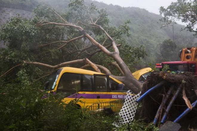 Video: Tòa nhà ở Hong Kong đung đưa, kính vỡ tung tóe trong bão MANGKHUT - Ảnh 5.