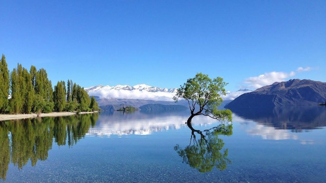 New Zealand - điểm đến du học lãng mạn và đậm chất thơ dành cho những kẻ mơ mộng - Ảnh 8.