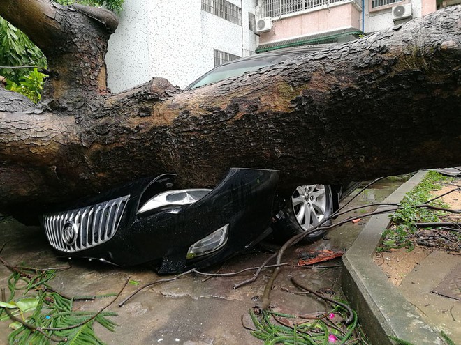 Những hình ảnh ghi lại sự ác liệt của Mangkhut - siêu bão mạnh nhất thế giới trong năm nay - Ảnh 23.