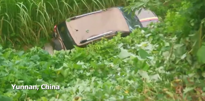 Đang y&ecirc;n đang l&agrave;nh, đ&agrave;n voi tự nhi&ecirc;n dở chứng v&agrave;o nh&agrave; d&acirc;n ăn vụng rồi ph&aacute; xe, người d&acirc;n đứng quay clip trong sự bất lực - Ảnh 4.