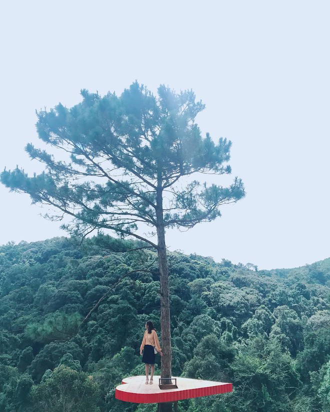 Cây cô đơn Đà Lạt là một tác phẩm thiên nhiên rất đẹp và độc đáo. Với chiều cao lớn và nhánh cành rậm rạp, cây cô đơn trông giống như một người bạn đang đợi người đến thăm. Hãy xem hình ảnh này để trải nghiệm cảm giác của một người sống một mình giữa thiên nhiên.