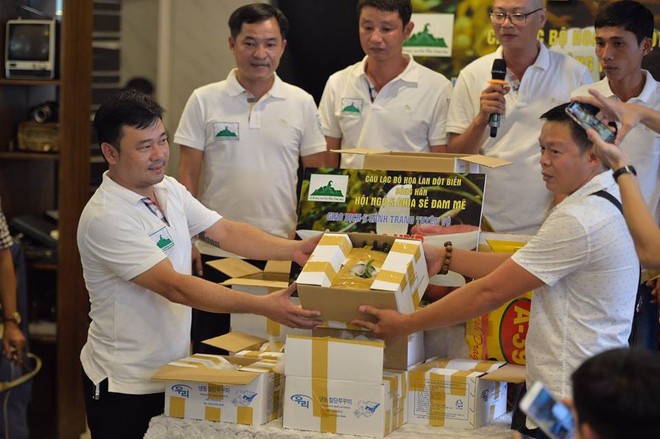 Câu lạc bộ hoa lan đột biến sông Hàn trưng bày gốc lan được mua với giá gần 7 tỉ đồng - Ảnh 2.