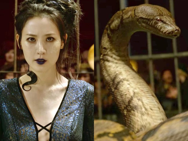 Tung tạo hình rắn độc ma mị cực đẹp nhưng trailer Fantastic Beasts 2 vẫn gây bất bình vì điều này - Ảnh 3.