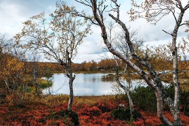 Cảnh đẹp ngọt ngào mê đắm lòng người của vùng Murmansk nước Nga - Ảnh 4.